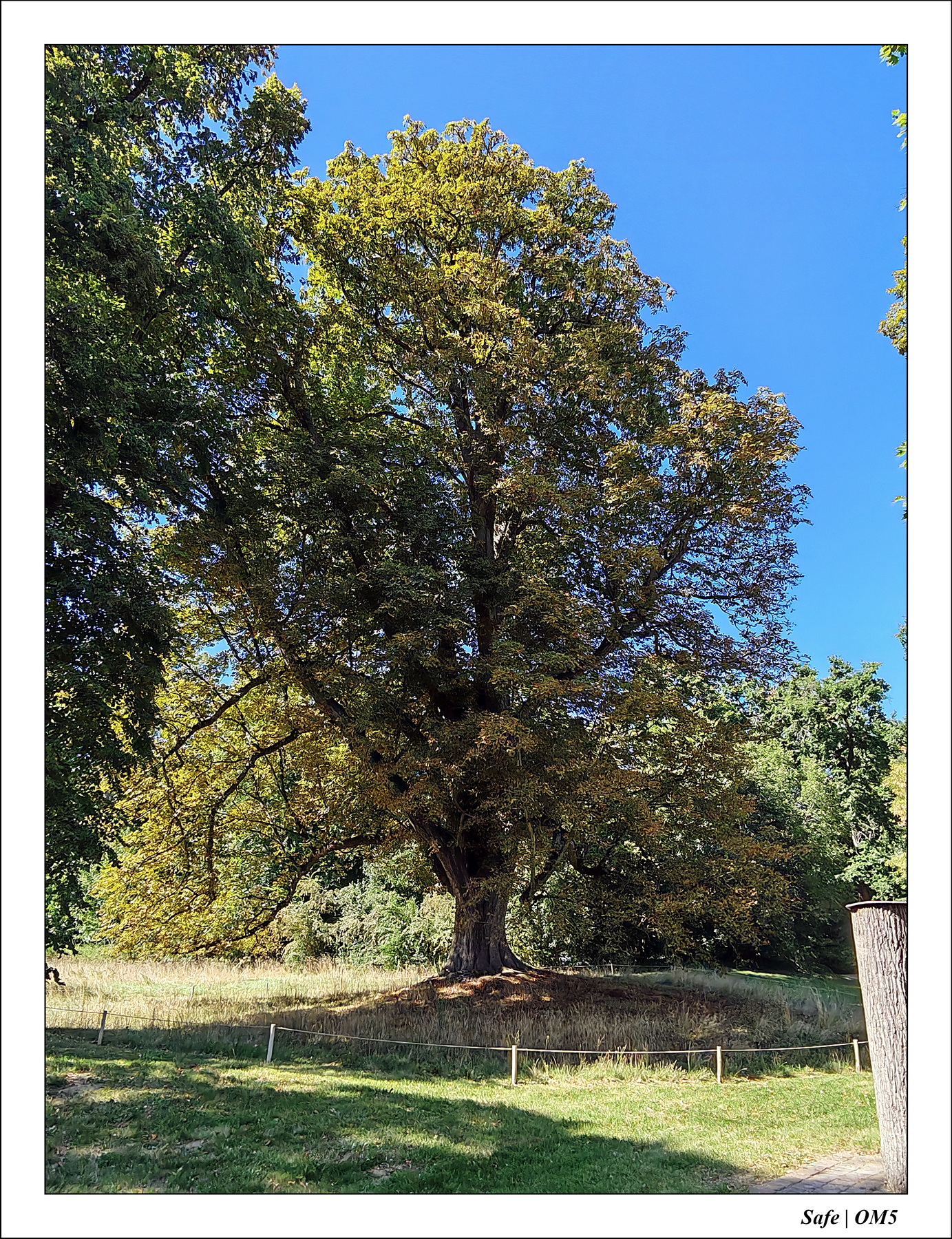 2025 - 08 - Vallée des loups - 42